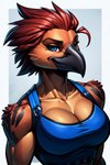 anthro athletic beak breasts cleavage clothed clothing feathers female high-angle_view looking_at_viewer seductive solo birdovo avian bird hi_res