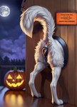 anatomically_correct anatomically_correct_genitalia animal_genitalia animal_pussy anus bodily_fluids butt canid canine canine_genitalia canine_pussy canis detailed detailed_background detailed_fur director_firewolf female feral food fruit full_moon furryrock_(model) genital_fluids genitals hi_res jack-o'-lantern mammal moon night paws plant porch presenting presenting_hindquarters public_use pumpkin pussy pussy_juice raised_tail rear_view sign solo text through_wall tree wall_(structure) wolf