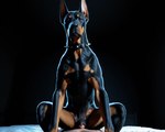 anatomically_correct anatomically_correct_genitalia anatomically_correct_pussy animal_genitalia animal_pussy bestiality canine_genitalia canine_pussy collar cowgirl_position duo feral feral_on_top first_person_view from_front_position genitals human_on_feral human_pov interspecies looking_at_viewer lying mostly_offscreen_character on_back on_bottom on_top penis photorealism photorealistic pussy sex sitting_on_another sitting_on_penis solo_focus spiked_collar spikes director_yiffy canid canine canis dobermann domestic_dog human mammal pinscher hi_res