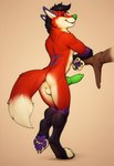 anthro butt looking_at_viewer looking_back looking_back_at_viewer male pawpads presenting presenting_hindquarters solo majira_strawberry canid canine fox mammal hi_res