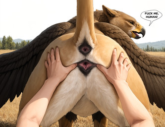 anatomically_correct anatomically_correct_genitalia animal_genitalia animal_pussy anus beak belly bestiality brown_wings butt duo feathers female feral first_person_view fur genitals hand_on_butt human_hands human_on_feral human_pov interspecies looking_at_viewer looking_back looking_back_at_viewer meadow mythology nature nature_background open_beak open_mouth outside pov_hands presenting presenting_hindquarters presenting_pussy pussy raised_tail rear_view seductive solo_focus speech_bubble spread_pussy spread_wings spreading standing tail tan_body text white_belly wings jensenai avian gryphon human mammal mythological_avian mythological_creature hi_res