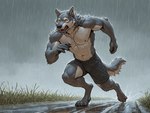 abs anthro clothed clothing fur grass grey_body grey_fur male muscular muscular_anthro muscular_male navel nipples pecs plant raining running solo topless yellow_eyes maximemet canid canine canis mammal wolf hi_res