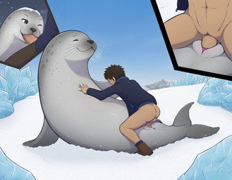 bestiality cutaway duo fellatio female feral feral_penetrated human_on_feral human_penetrating human_penetrating_feral ice interspecies male male/female oral penetration penile sex snow retr-1 human mammal marine pinniped seal