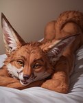 ambiguous_gender anthro bed bedroom belly fluffy fluffy_ears fluffy_fur fluffy_tail fur furniture looking_at_viewer lying on_front orange_body orange_eyes orange_fur solo white_belly medlem canid canine fox mammal vulpera hi_res