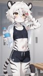 anthro black_body black_fur blush bodily_fluids bottomwear claws clothing crop_top female flat_chested front_view fur hair hotpants locker_room long_tail pawpads paws pink_nose shirt shorts solo spots spotted_body spotted_fur standing sweat tail topwear towel tuft water_bottle white_body white_fur white_hair yellow_eyes kaltingale_(director) felid feline mammal pantherine tiger hi_res