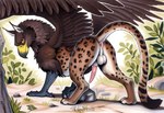 animal_genitalia animal_penis anus backsack balls beak brown_body brown_feathers brown_fur butt claws digitigrade erection feathered_wings feathers feet feline_genitalia feline_penis feral fur genitals inner_ear_fluff looking_at_viewer looking_back male markings multicolored_body outside paws penile_spines penis perineum pink_anus pink_penis plant presenting presenting_anus presenting_balls presenting_hindquarters presenting_penis quadruped raised_tail rear_view rock scutes smile solo spots spotted_body spotted_fur tail talons tapering_penis text toe_claws toes tuft white_body white_fur wings yellow_eyes sergalbutt avian felid gryphon mammal mythological_avian signature url