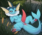 anus bathing erection feral genitals looking_at_viewer lying male nude on_back outdoor_nudity outside penis presenting smug solo tapering_penis water wet wet_penis nonimousmate nintendo pokemon eeveelution generation_1_pokemon pokemon_(species) vaporeon hi_res