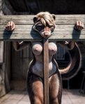 absurd_res anthro breasts butt completely_nude female female_anthro fur genitals hi_res lewdtf mammal mustela mustelid musteline nude_art pussy restrained restrained_arms restraints solo stocks transformation true_musteline whiskers