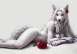 accessory anthro arctic_wolf braided_hair breasts canid canine canis detailed detailed_fur female flower flower_in_hair fluffy fur grey_eyes hair hair_accessory laying long_hair looking_at_viewer mammal neck_fluffy nude photo_shoot photorealism photorealistic plant pose seductive simple_background smile solo white_background white_body white_fur white_hair wolf wolfik