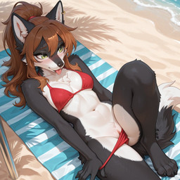 anthro beach bikini black_body black_fur breasts brown_hair clothing day ear_piercing ear_ring female fur genitals green_eyes hair light long_hair lying on_back on_ground piercing presenting pussy ring_piercing sand seaside solo sunlight swimwear tongue white_body white_fur ft-27 canid canine canis mammal wolf