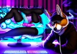 anthro canid canine canis clothing computer computer_monitor doge_(director) domestic_dog eyewear female fox genitals hat headgear headwear hoodie male mammal picture_in_picture pussy shiba_inu smoke solo spitz sunglasses topwear webm