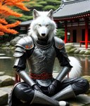 anthro asian_clothing canid canine canis clothing east_asian_clothing evergreen_tree fur garden hi_res japanese_clothing japanese_house male mammal meditation pine_tree plant pond solo tree white_body white_fur wolf