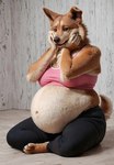 anthro belly big_belly big_butt black_nose bra breasts butt clothing face_squish facial_tuft female fluffy fluffy_tail fur hair hand_on_face inside overweight overweight_female photorealism photorealistic pink_clothing pregnant realism realistic sitting sitting_on_ground solo sports_bra squish sweatpants tan_body thick_thighs underwear voluptuous_female worried worried_look anonymous_director canid canine canis domestic_dog mammal shiba_inu spitz absurd_res hi_res wallpaper