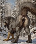 anatomically_correct anatomically_correct_genitalia animal_genitalia animal_pussy anus attempted_signature avian beak bird black_body butt canid canine_genitalia canine_pussy female feral fluffy fur genitals gryphon hi_res hybrid jackalische looking_at_viewer looking_back looking_back_at_viewer mammal mountain mythological_avian nude plant presenting presenting_anus presenting_hindquarters presenting_pussy pussy raised_tail rear_view scales seductive sky smile snow snow_on_branches snow_on_ground solo spread_legs spreading tree winter winter_background