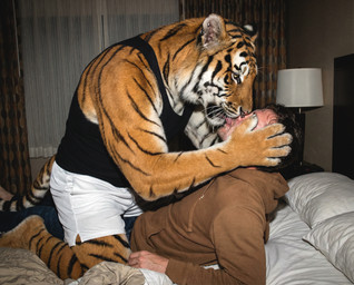 anthro bed bedroom bodily_fluids bottomwear clothed clothing curtains detailed_fur dominant dominant_anthro duo ear_piercing facial_piercing french_kissing fur furniture hand_on_face hoodie hotel_room human_on_anthro inside interspecies kissing kneeling lying_on_back male male/male muscular muscular_anthro muscular_male nose_piercing obscured_eyes obscured_face on_top orange_body orange_fur pants photorealism piercing realistic realistic_fur realistic_lighting saliva saliva_string shirt shorts size_difference straddling striped_body striped_fur stripes tail tank_top tongue tongue_out topwear delken felid human mammal pantherine tiger detailed hi_res