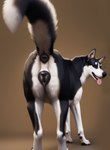 absurd_res animal_genitalia animal_pussy anus black_anus black_body black_fur black_lips black_nose black_pussy bodily_fluids butt canid canine canine_genitalia canine_pussy canis domestic_dog dripping female feral fur genital_fluids genitals glistening glistening_genitalia gradient_background hi_res husky lips looking_at_viewer looking_back looking_back_at_viewer mammal multicolored_body multicolored_fur nordic_sled_dog open_mouth open_smile plump_labia presenting presenting_anus presenting_hindquarters presenting_pussy puffy_anus pussy pussy_juice raised_tail realistic realistic_fur shuffur simple_background smile solo spitz tongue tongue_out two_tone_body two_tone_fur white_body white_fur