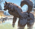 anthro anus backsack balls black_body black_fur blush fur genitals hand_on_butt hot_spring looking_back male partially_submerged presenting presenting_anus solo solo_focus spread_anus spreading water winter winter_background unknown_director canid canine canis mammal wolf hi_res