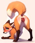 animal_genitalia animal_pussy ass_up blush canid canine canine_genitalia canine_pussy female feral fox foxlover7796 fur genitals hi_res mammal orange_body orange_fur presenting pussy raised_tail solo