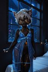 anthro bed bedroom black_body black_fur black_nose city city_background clothed clothing female fur furniture hair night nightgown partially_clothed short_stack solo white_hair window yellow_eyes ironwolfsaber warning_(fluff-kevlar) domestic_cat felid feline felis mammal hi_res