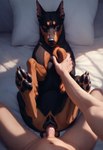 animal_genitalia animal_pussy canine_genitalia duo female feral first_person_view fur genitals looking_at_viewer male male/female penetration pussy sex director_donki canid canine human mammal hi_res
