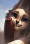 ambiguous_gender anthro black_nose blue_eyes canid canine detailed detailed_fur duo fennec fox fur genitals headshot_portrait hi_res looking_at_viewer male male/ambiguous mammal penile penis penis_on_face portrait red_penis simple_background solo_focus tan_body tan_fur teeth unknown_director whiskers