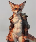 anthro armor breasts canid canine casual_nudity cerinil clothed clothing female fluffy fox genitals hi_res leather leather_armor leather_clothing looking_at_viewer mammal neck_tuft nipples no_underwear open_clothing open_topwear peach_pussy pose pussy shoulder_pads simple_background small_breasts solo topwear tuft vulpera world_of_warcraft