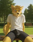 anthro bench black_bottomwear black_clothing black_shorts bodily_fluids bottomwear clothed clothed_anthro clothed_male clothing embarrassed erection erection_under_clothing fur genital_outline male nervous nervous_expression nervous_sweat outside park public shirt shorts sitting sitting_on_bench solo sweat sweaty_face topwear white_clothing white_shirt white_topwear yellow_body yellow_fur stallionai canid canine humanoid mammal hi_res