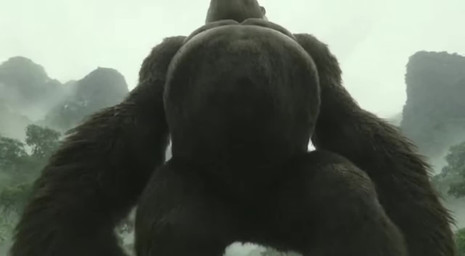 black_body black_fur close-up duo feet feral foot_fetish fur low-angle_view male smothering smothering_pov smothering_viewer sora_2 stomping shut_up_and_watch king_kong ape gorilla haplorhine mammal primate animated short_playtime webm