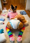 anthro clothing costume diaper female footwear fursuit on_all_fours paws presenting shirt socks solo tail_aside topwear redfoxthing_idk canid canine fox mammal