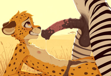 animal_genitalia animal_penis anthro arm_support balls big_balls big_penis bodily_fluids bottomwear clothing dripping duo ears_back equine_genitalia equine_penis fur genital_fluids genitals imminent_oral imminent_sex larger_dom_smaller_sub loincloth loincloth_only looking_at_another looking_at_partner looking_up looking_up_at_partner lying male male/male medial_ring nervous nervous_expression nervous_smile nervous_sweat nipples on_back on_ground outside penis pivoted_ears precum precum_drip precum_string savanna side_view size_difference straw stripes sweat vein veiny_penis white_body white_fur yellow_body yellow_eyes yellow_fur unknown_director cheetah equid equine felid feline mammal zebra absurd_res hi_res