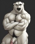 anthro balls biceps big_muscles body_hair chest_hair flaccid foreskin genitals humanoid_genitalia humanoid_penis male mammal musclegut muscular muscular_anthro muscular_male nipples nude pecs penis polar_bear pubes simple_background slightly_chubby solo standing tesseract_(director) ursid ursine