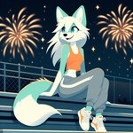 anthro blue_eyes clothed clothing female fireworks footwear fur green_body green_fur grey_clothing hair night night_sky orange_clothing shoes sitting smile sneakers solo sweatpants white_body white_fur white_hair omgechounknown willow_(echounknown) canid canine fox mammal