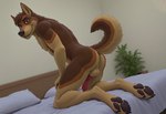 animal_genitalia animal_penis anthro balls bed bedroom black_nose blue_eyes butt canine_genitalia canine_penis chest_tuft fur furniture genitals hands_on_legs head_tuft hindpaw inner_ear_fluff kneeling kneeling_on_bed looking_at_viewer male multicolored_body multicolored_fur neck_tuft pawpads paws penis perineum pillow plant presenting presenting_hindquarters raised_tail smile smiling_at_viewer solo tan_body tan_fur tuft novawillow canid canine canis domestic_dog german_shepherd herding_dog mammal pastoral_dog full-length_portrait hi_res portrait