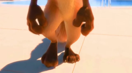 anthro camera_smothering close_up crotch_focus crotch_shot crotch_smothering featureless_crotch fur looking_at_viewer male multicolored_body multicolored_fur nude paws smothering smothering_viewer solo walking_towards_viewer shut_up_and_watch disney zootopia nick_wilde canid canine fox mammal animated short_playtime webm