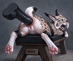 anal anal_penetration anal_tugging animal_genitalia animal_pussy ankle_cuffs bdsm big_dildo bondage bound cheek_tuft cuff_(restraint) dildo duo ear_tuft eyelashes facial_tuft fangs feline_pussy female feral feral_bondage fuck_bench gaping_mouth genitals golden_eyes inner_ear_fluff long_eyelashes lying motion_outlines on_front open_mouth pained_expression pawpads penetration pink_nose pink_pawpads pivoted_ears pussy questionable_consent raised_tail rear_view restraints sex_toy short_tail stone_floor stone_wall strapped_down stretched_anus tan_body tongue tuft wall_(structure) whiskers wide_eyed wrist_cuffs nightdancer zaire felid feline lynx mammal full-length_portrait hi_res portrait