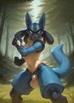 animal_genitalia anthro balls fighting_pose genitals looking_at_viewer male nude outside pose sheath solo nonimousmate generation_4_pokemon lucario pokemon_(species) hi_res