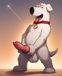 animal_genitalia animal_penis anthro balls big_balls big_penis canine_genitalia canine_penis cartoon_character collar genitals knot looking_at_viewer male masturbation penis solo cartoonlover family_guy brian_griffin canid canine canis domestic_dog mammal