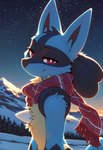 anthro detailed_background fur looking_at_viewer male mountains narrowed_eyes night night_sky nintendo plant pokemon scarf sky smile smiling_at_viewer snow solo star starry_sky tree winter unknown_director generation_4_pokemon lucario pokemon_(species) hi_res