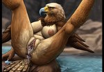 accipitrid accipitriform anthro anus avian big_breasts bird bodily_fluids breasts chira_01 eagle female genitals nipples non-mammal_breasts non-mammal_nipples nude pussy sea_eagle solo white-tailed_eagle