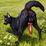 absurd_res animal_genitalia animal_penis anus ass_up backsack balls black_body black_fur canid canine canine_genitalia canine_penis canis director_firewolf feral fur furryrock furryrock_(model) genitals grass hi_res knot looking_back male mammal penis plant raised_tail solo wolf