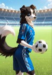 anthro ball looking_at_viewer male soccer_ball solo spots zoleth finley border_collie canid canine canis collie domestic_dog herding_dog mammal pastoral_dog sheepdog absurd_res hi_res