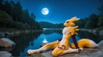 anthro armwear black_sclera blue_eyes breasts bridal_gauntlets clothing digimon featureless_breasts female lake moon nature nature_background night night_sky peaceful photorealism photorealistic reclining relaxing rock small_breasts smile solo star knotty_sergal digimon_(species) renamon absurd_res hi_res