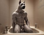 abs animal_genitalia anthro balls bath bathing bathroom biceps fluffy_balls fur genitals male navel nipples sheath short_fur solo tile tile_wall wall_(structure) water wet white_body white_fur royal_wolf_(director) canid canine canis domestic_dog great_dane mammal mastiff molosser absurd_res hi_res monochrome