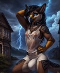 anthro attempted_signature avian beak big_bulge black_hair blue_eyes bottomwear breasts brown_body brown_fur building bulge canid clothed clothing collar detailed_background fur grey_beak gryphon gynomorph hair hand_behind_head hi_res house intersex jackalische lightning looking_at_viewer mammal mountains multicolored_body multicolored_fur mythological_avian nipple_outline nipples outside shirt shorts small_breasts solo spiked_collar spikes spots storm storm_clouds tank_top topwear town translucent translucent_clothing water wet wet_body wet_fur wet_hair white_body