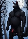 anthro balls belly black_body black_fur canid canine canis dogarrowtype forest fur genitals grey_background halloween male mammal moon muscular muscular_anthro muscular_male night penis plant saggy_balls simple_background solo tree were werecanid werecanine werewolf wolf