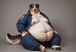 anthro belly belly_overhang blue_clothing brown_body brown_fur cheek_tuft chest_tuft clothing facial_tuft fat_rolls flight_suit fluffy fluffy_tail fur jacket jumpsuit looking_at_viewer male moobs morbidly_obese navel nipples obese overweight overweight_anthro overweight_male pawpads paws photorealism photorealistic realism realistic simple_background sitting solo tan_body tan_fur thick_thighs topwear tuft white_body white_fur wide_hips anonymous_director australian_shepherd canid canine canis domestic_dog herding_dog mammal pastoral_dog sheepdog hi_res