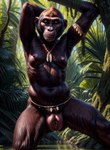 anthro belt breasts female genitals jewelry jungle looking_at_viewer navel necklace nipples nude pink_nipples pink_pussy pussy solo standing tribal tribal_jewelry tribal_necklace marcus64 ape bonobo chimpanzee haplorhine mammal primate hi_res