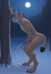 animal_genitalia animal_penis anthro bent_legs bodily_fluids brown_tail_tip canine_genitalia canine_penis cheek_tuft claws cum digitigrade ear_tuft ejaculation eyes_closed facial_tuft forest fur genital_fluids genitals hand_on_penis hand_on_tree head_tuft knees_bent knot leaning leaning_forward leaning_on_tree leg_tuft light looking_pleasured male masturbation moon moonlight neck_tuft night open_mouth outside penis pink_nose plant snow snowing solo spots spotted_body spotted_fur tan_body tan_fur toe_claws tree tuft white_chest white_muzzle winter winter_background novawillow felid feline lynx mammal full-length_portrait hi_res portrait