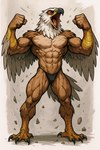 abs anthro athletic athletic_anthro athletic_male beak biceps bird_feet bird_legs brown_body claws clothing feathered_wings feathers growth male muscle_growth muscular muscular_anthro muscular_arms muscular_male navel nipples pecs solo standing tail_feathers talons transformation triceps underwear wings birdovo accipitrid accipitriform avian bird eagle human hybrid mammal hi_res