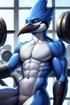 abs anthro athletic athletic_anthro athletic_male beak biceps exercise feathers gym male muscular navel nude pecs solo workout birdovo avian bird blue_jay corvid jay_(bird) new_world_jay oscine passerine hi_res